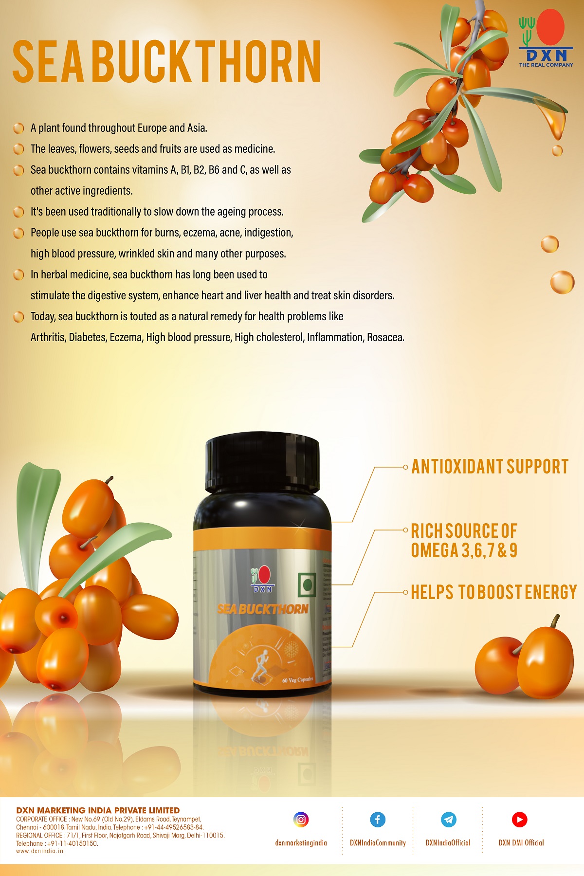 DXN Seabuckthorn 60's